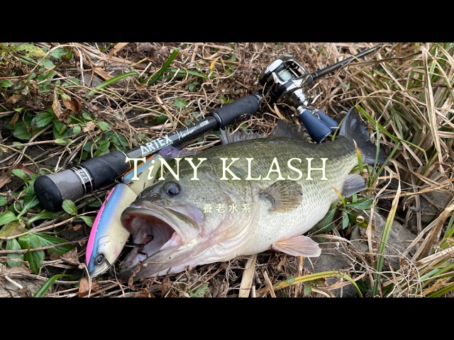 タイニークラッシュ】変幻自在のビッグベイト「TINY KLASH」動きを水中