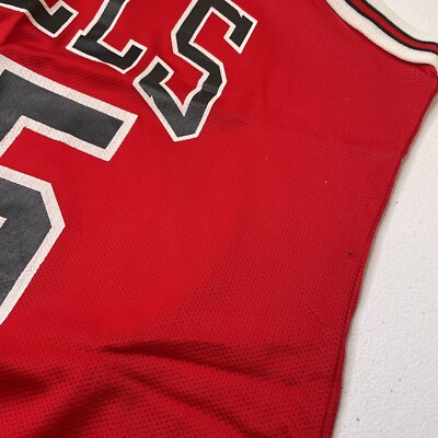 Vintage Michael Jordan #45 Chicago Bulls Champion Jersey Sz. 40 | eBay