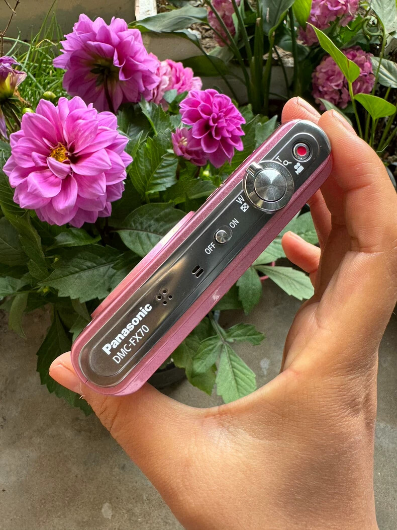 Panasonic Lumix DMC-FX70 Pink Compact Digital Camera Only Japanese