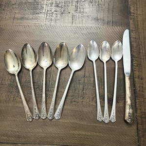 Holmes Edwards Spring Garden | eBay