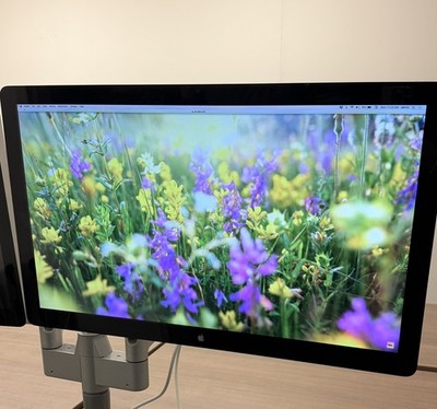 Apple Thunderbolt Display 27