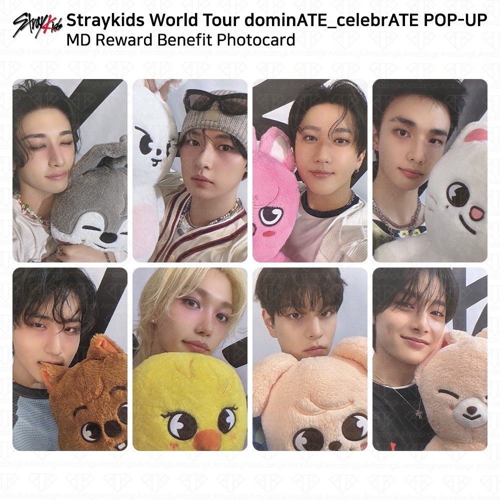 Stray Kids World Tour DominATE CelebrATE POP-UP MD Reward Benefit