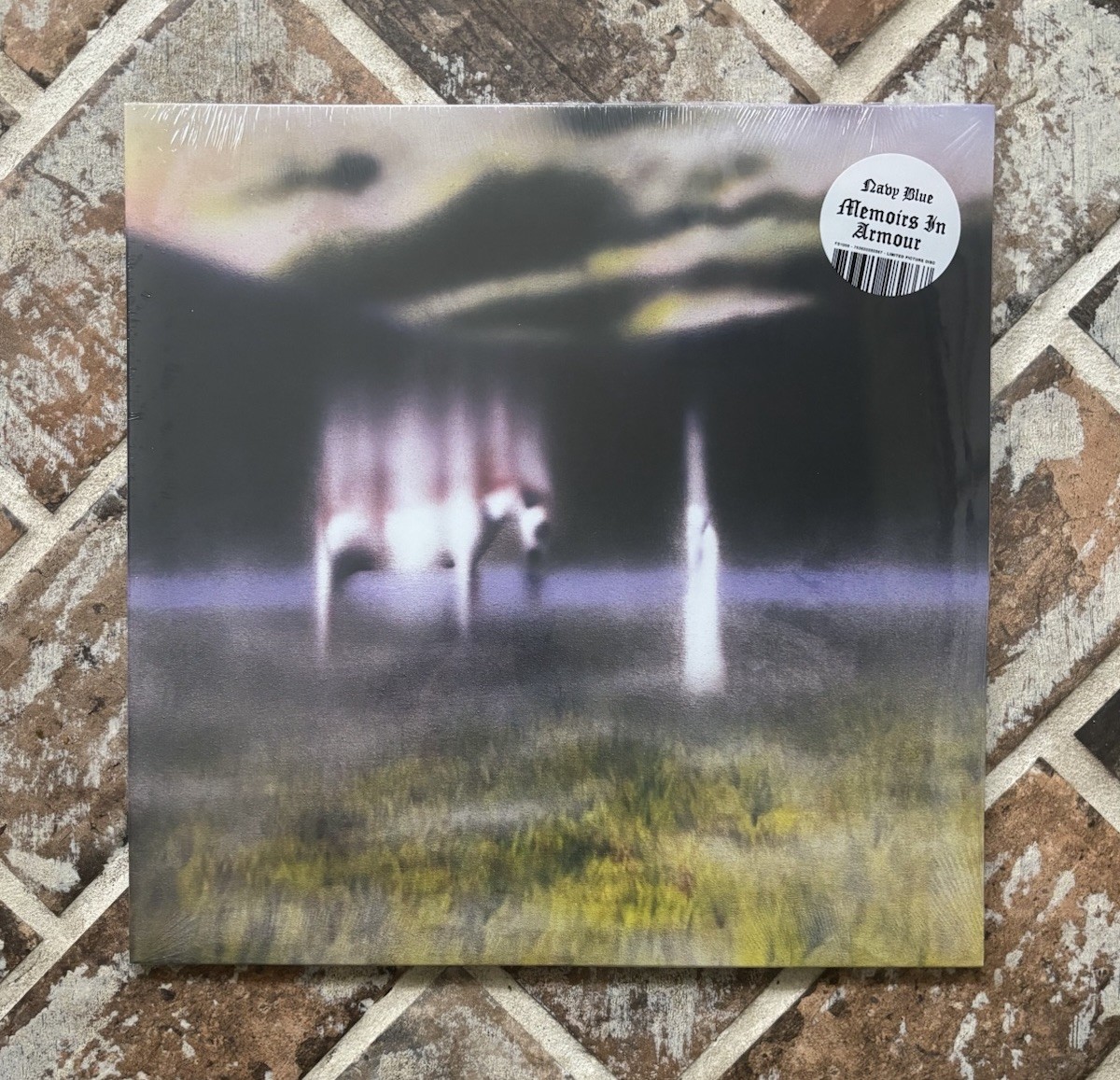 Navy Blue Memoirs In Armour Limited Edition Picture Disc Vinyl