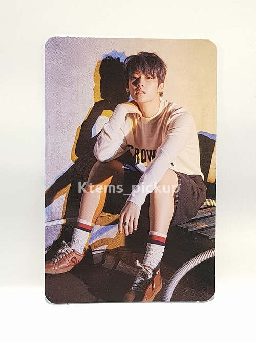 Stray Kids photocard album Yellow Wood Official Photo card