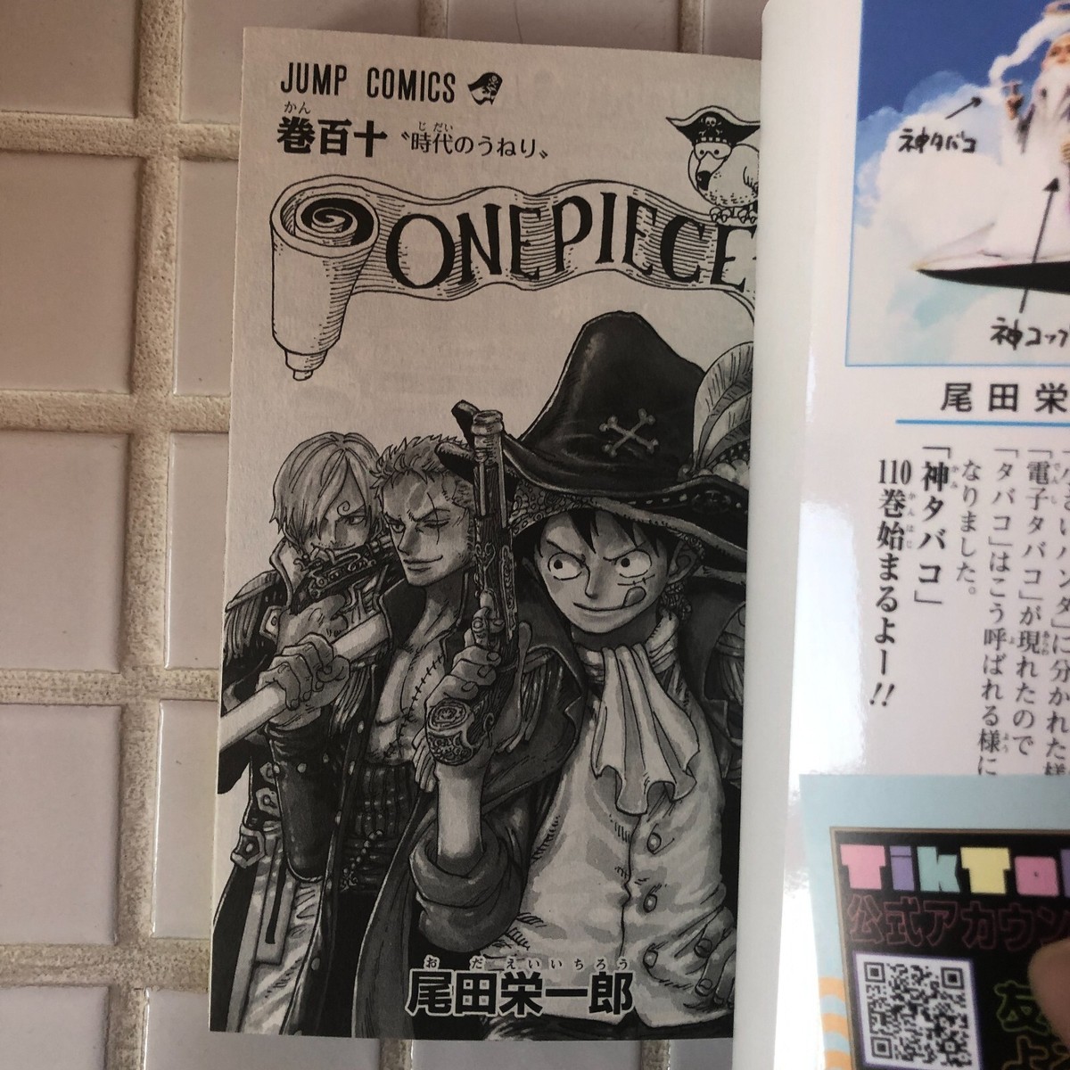 One Piece Vol. 110 Japanese Manga Comic Eiichiro Oda NEW | eBay