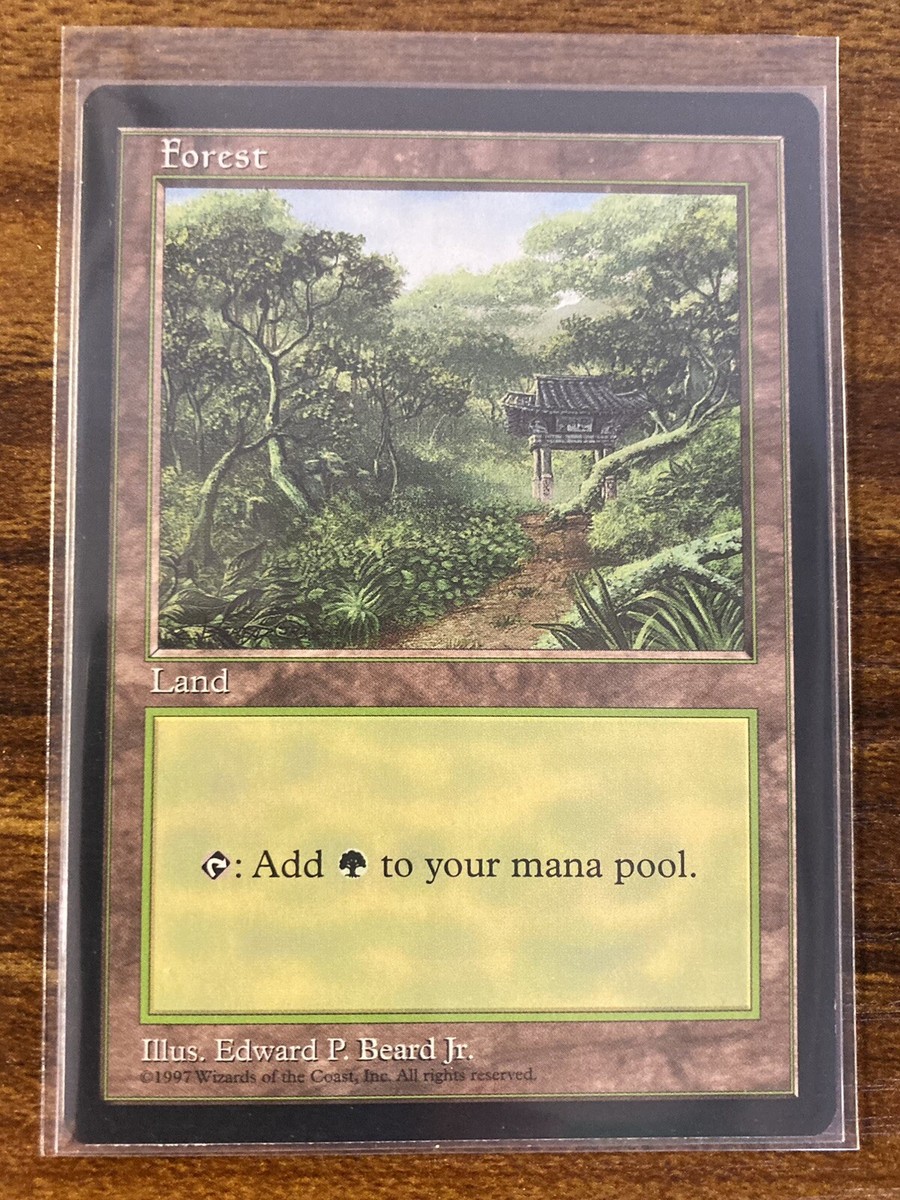 MTG✨APAC Land Promo FOREST Korea 🇰🇷 CLEAR✨MINT Rare 1997 E