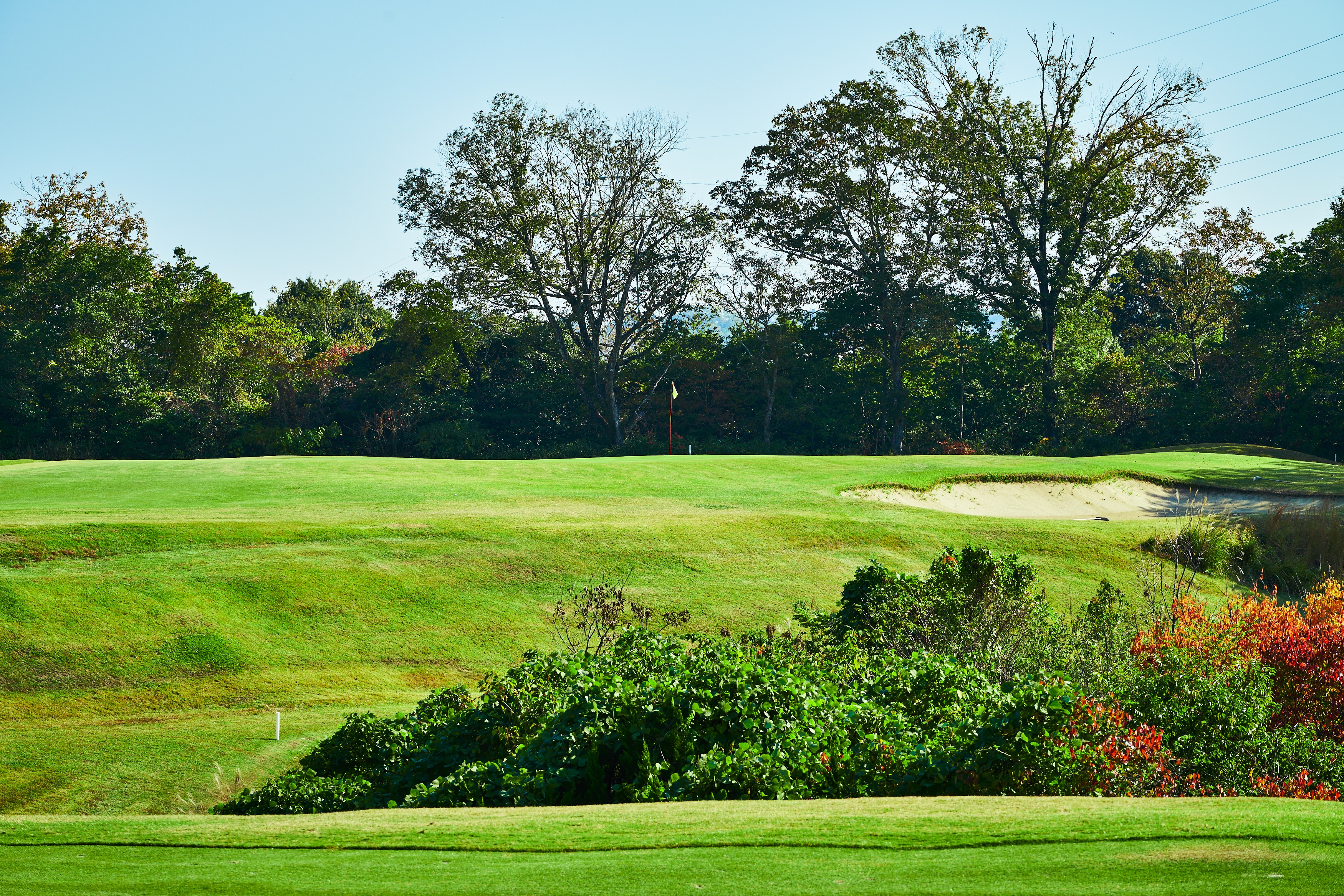 奈良カントリークラブのプラン一覧｜GDOゴルフ場予約