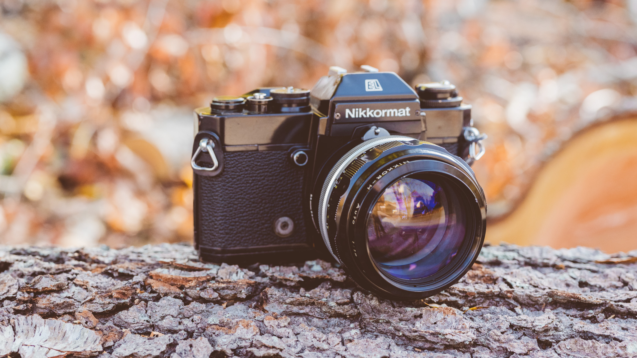 Nikon Nikkor H Auto 85mm f/1.8 (1964-1977) Lens Review - Casual