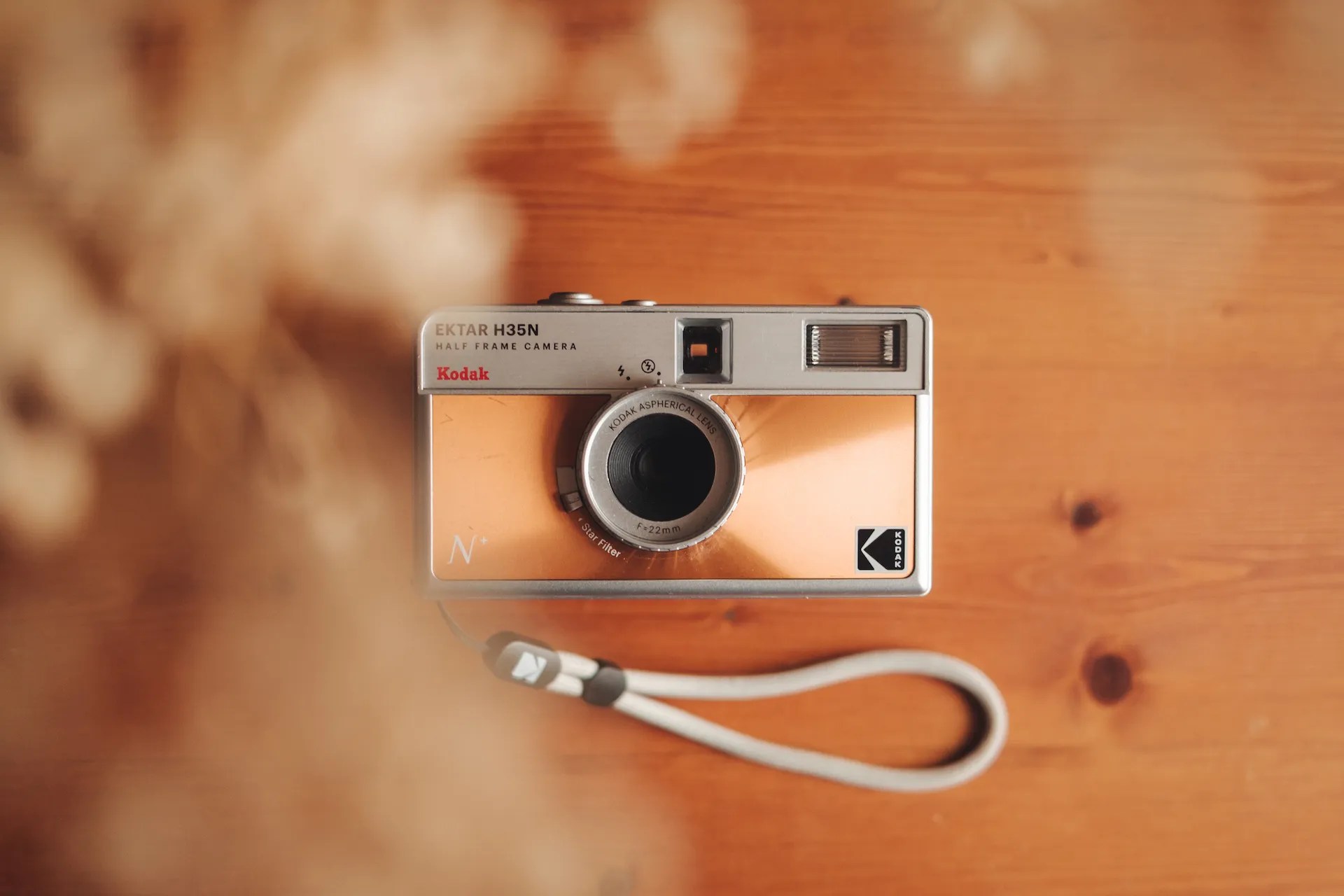 作例レビュー】CONTAX T3｜コンタックスのカメラ｜#わたしのカメラ