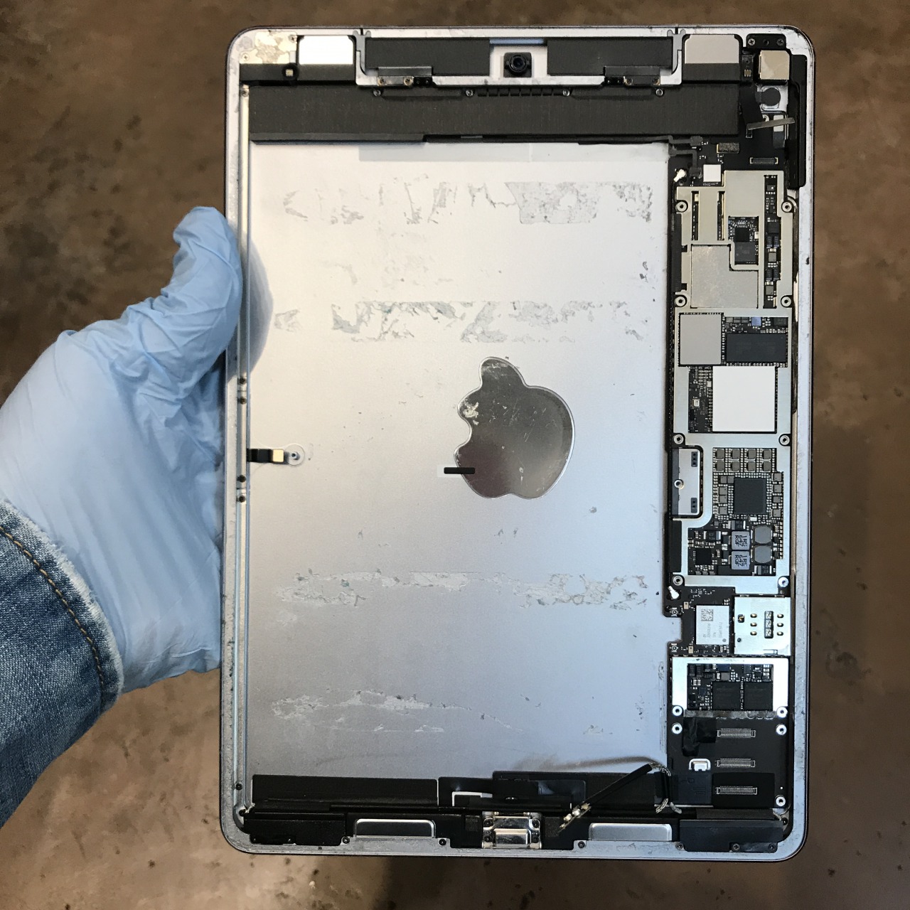 IMG_5851.jpg?fit=1200,1200&ssl=1