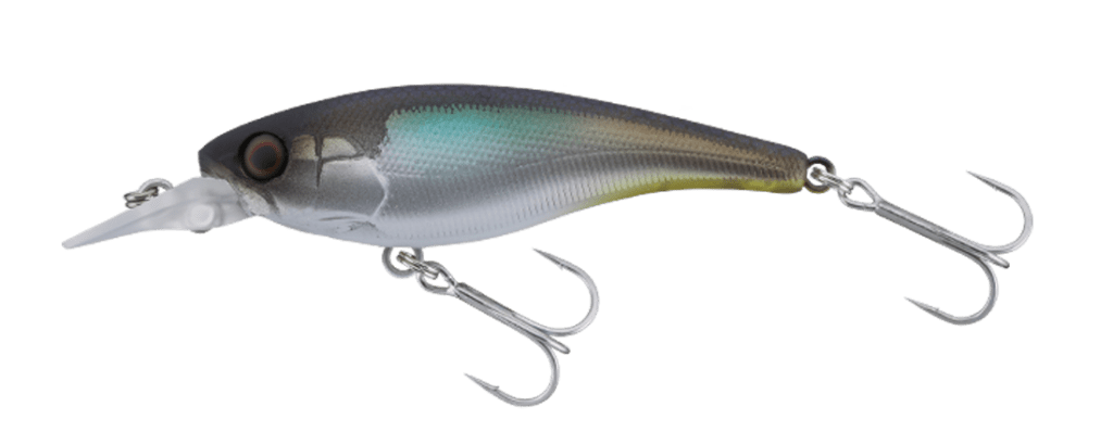 ソウルシャッドの最浅モデルの58SSRと68SSRモデルの限定カラーが釣り