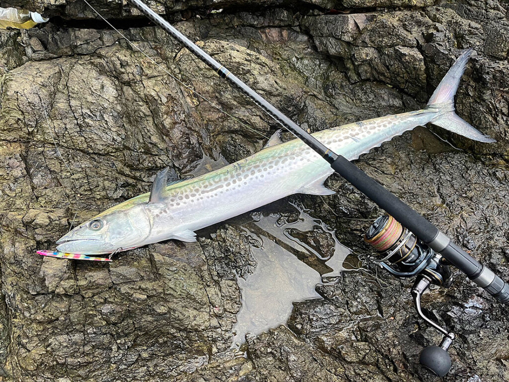 ハイコスパ！思う存分攻め倒せるショアジギングロッド「コーストシーフ