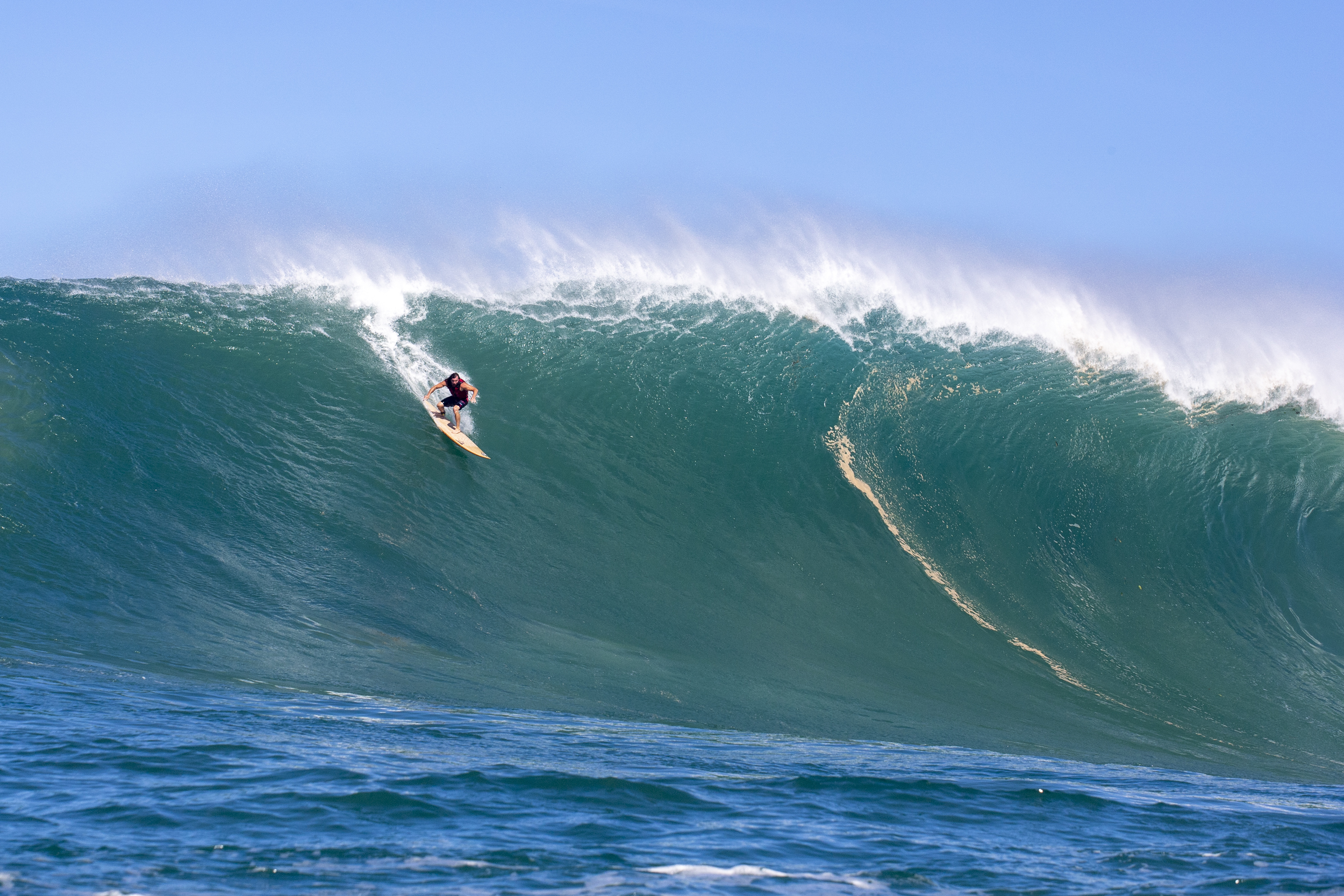 High Surf Advisory / Big Wednesday – Freesurf Magazine