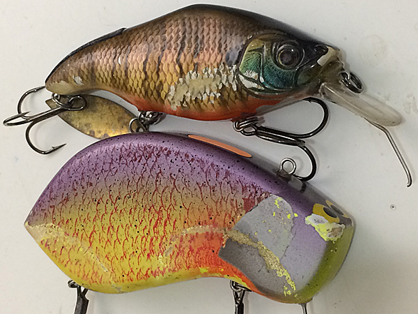 デカビーツァvs横綱☆インディーズルアー界の稀有なデカクランク双璧