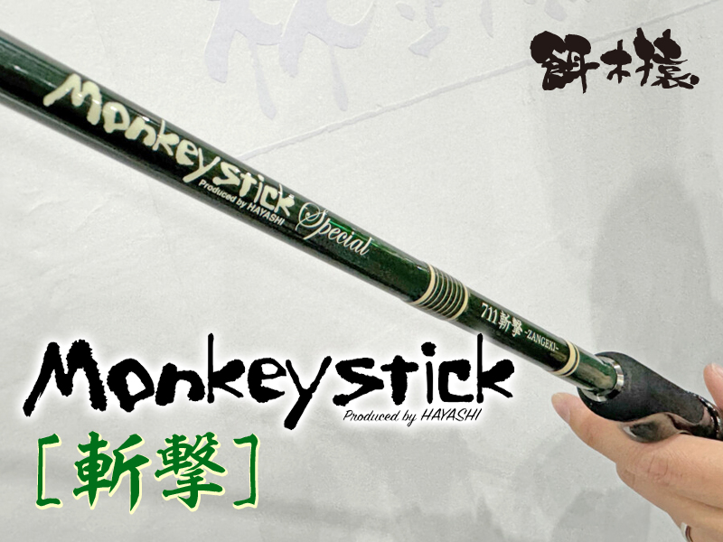 場所も季節も問わず活躍！ ナノアロイ®採用の攻撃的なエギングロッド