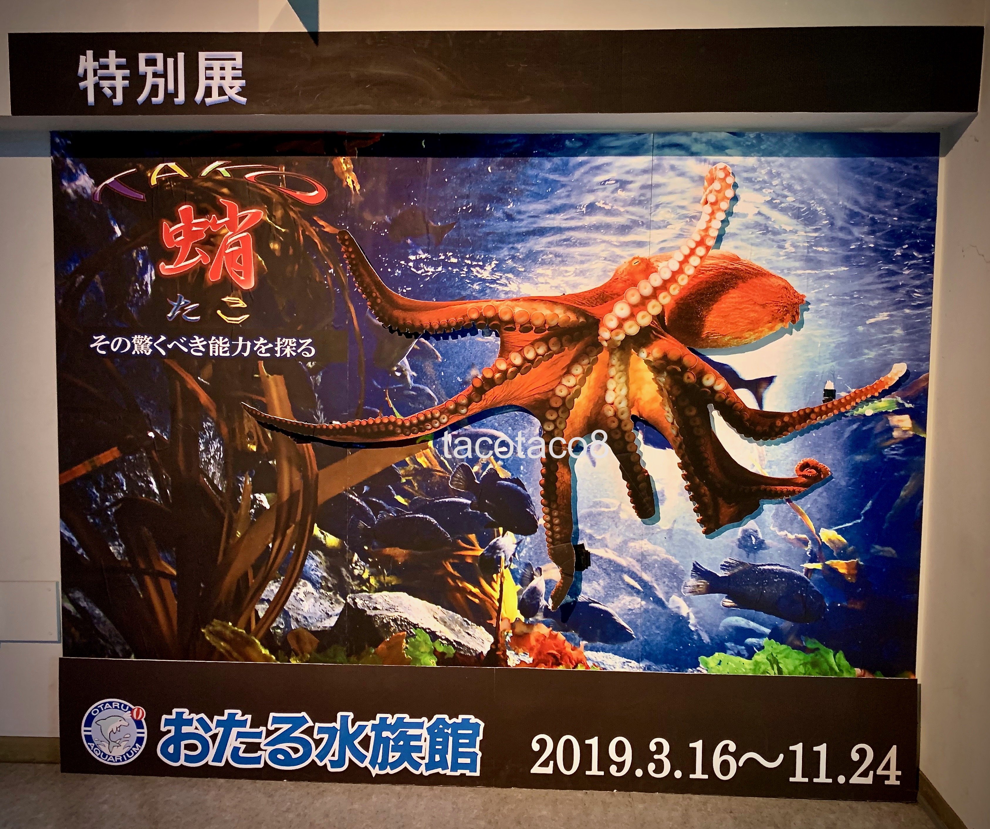 IMG_4954-2.jpg?resize=1024,857