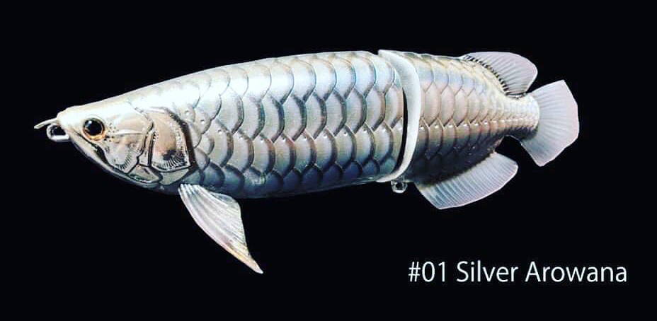 ドランクレイジーの【皇( SUMERAGI) アートベイトシリーズ】 アロワナ