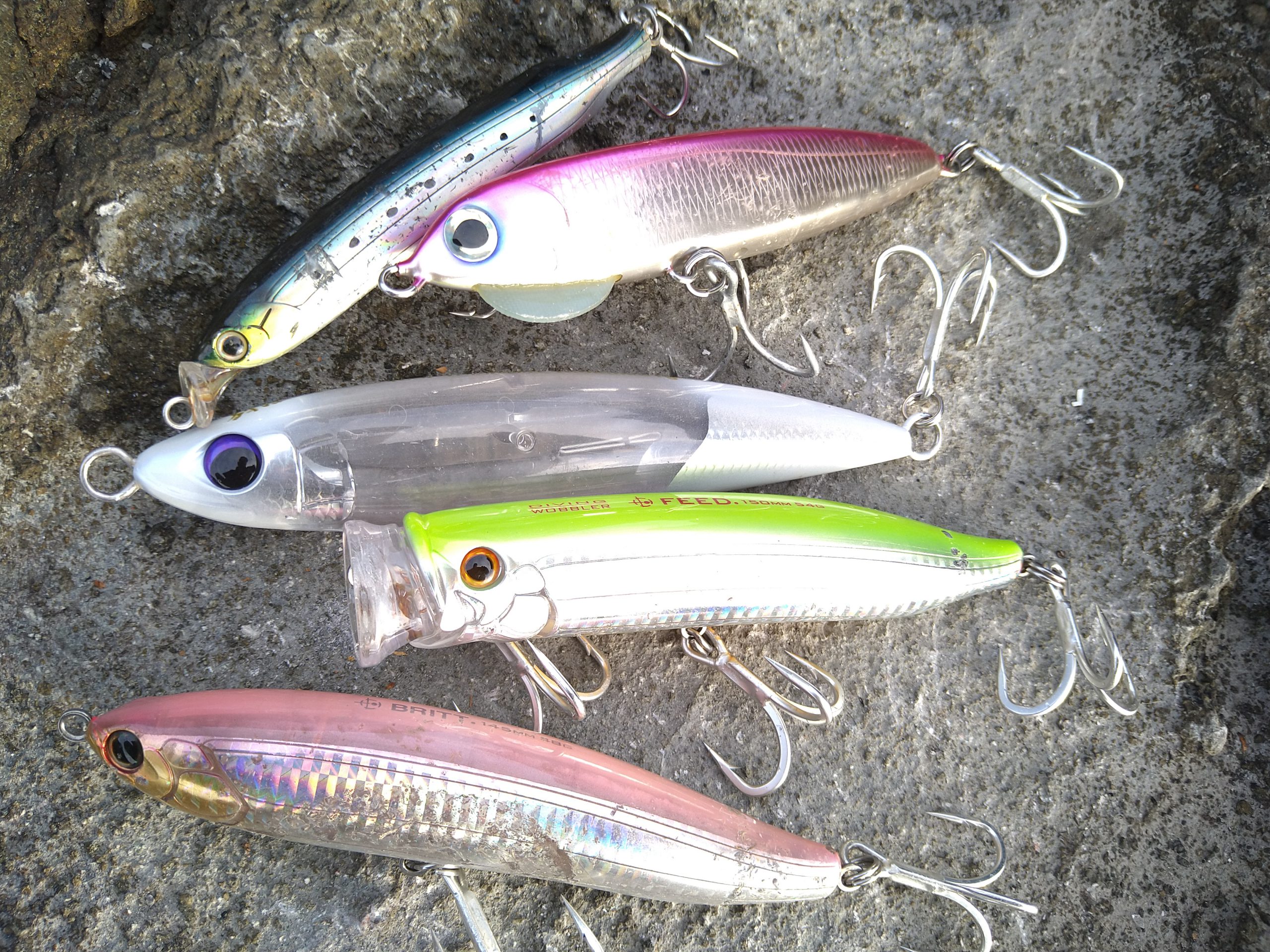 ザキミヤが釣ぅ～るぅ～♪ ☆ロックショア編☆ | 釣具のポイント