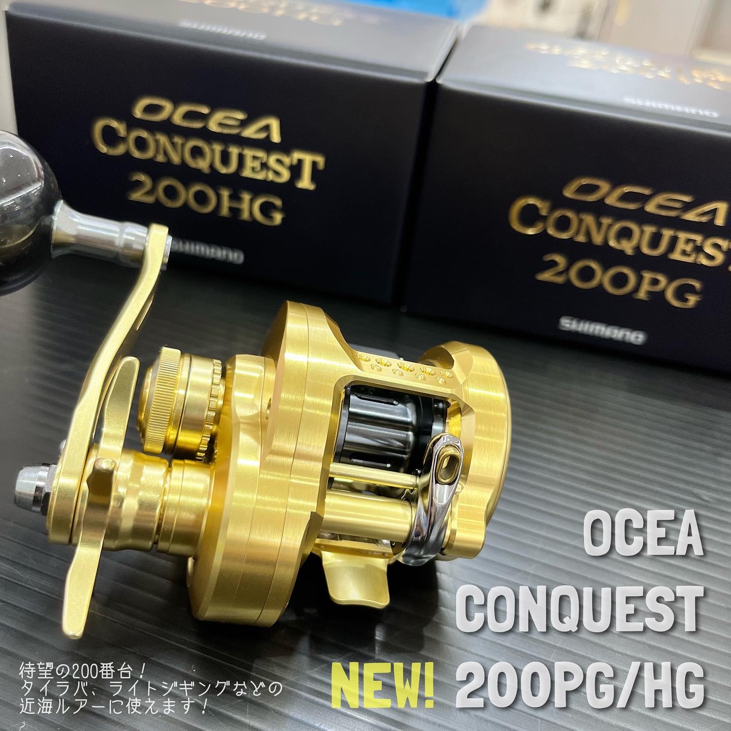 新商品】オシコンの200番台が入荷しました！シマノ「オシアコン