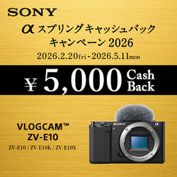 ヨドバシ.com - ソニー SONY VLOGCAM ZV-E10 ダブルズームレンズキット
