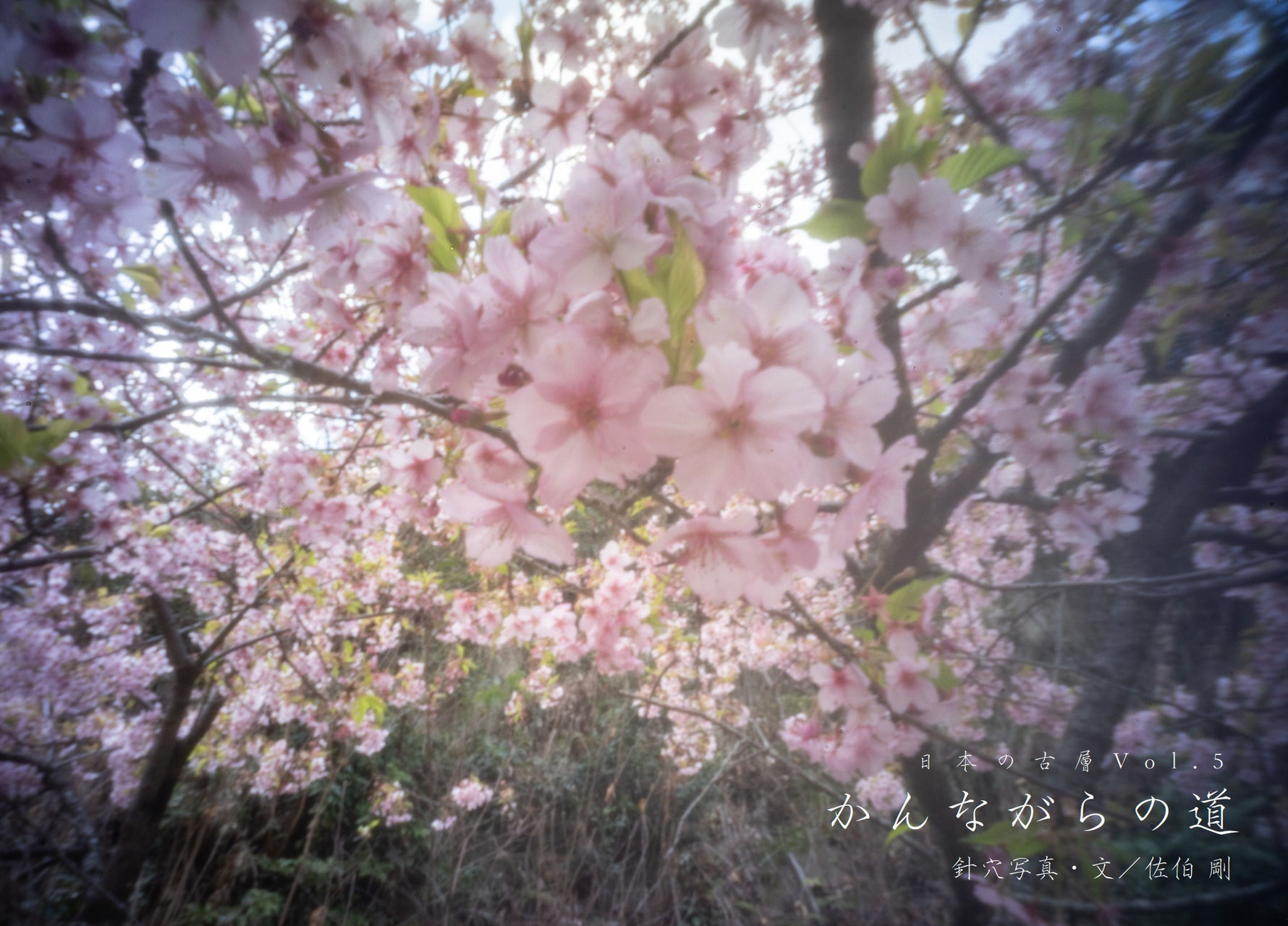 Sacred world 日本の古層 - 雑誌 風の旅人 Sacred world 日本の古層