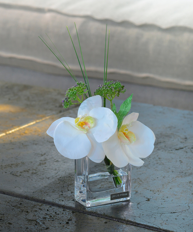 ファレノプシス(胡蝶蘭)のアーティフィシャルフラワー通販｜エミリオ