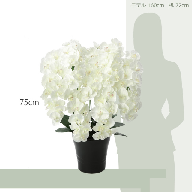 光触媒 光の楽園プレミアム胡蝶蘭7本立W【アートフラワー 造花