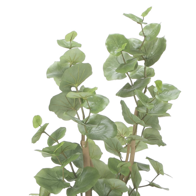 光触媒 光の楽園 スリムシーグレープ1.6m【インテリア フェイク