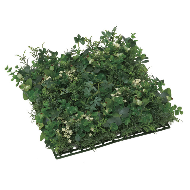 光触媒 光の楽園 壁掛けウッドボックス【インテリアグリーン 人工観葉