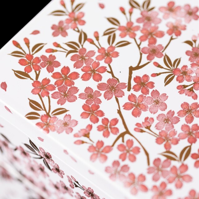 可愛らしい桜の重箱