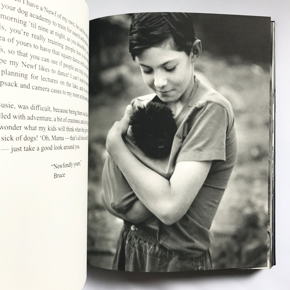 Title/Gentle Giants Author/ Bruce Weber | COWBOOKS