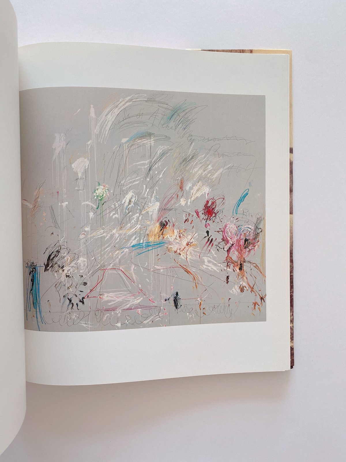 CY TWOMBLY BILDER PAINTING 1952-1976 VOLUME 1 |