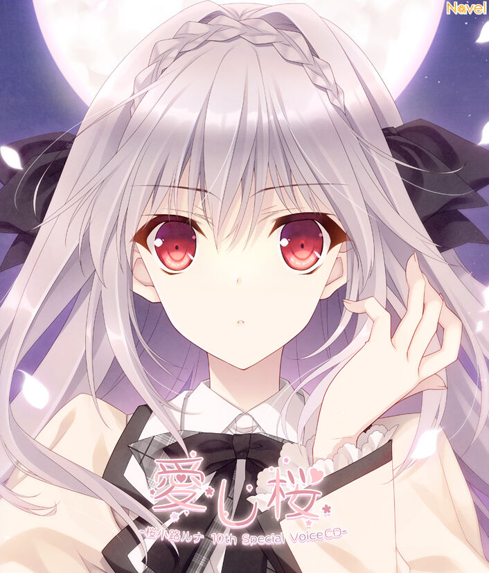 月に寄りそう乙女の作法10周年アニバーサリーボックス】※数量限定購入