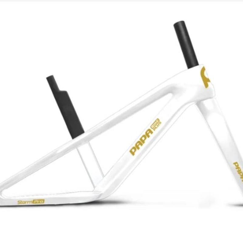 STORM PRO | PAPABIKE JAPAN