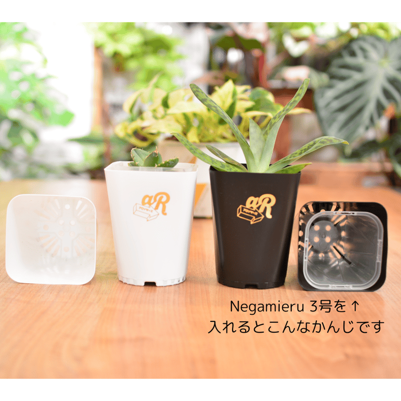 Neo Put Brack 3.5号 2種8鉢セット | 花森家-1号店-