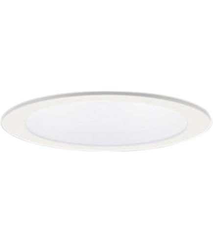 Amazon | パナソニック(Panasonic) 天井埋込型 LED 電球色 軒下用