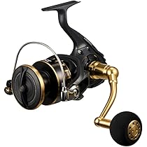 Amazon | ダイワ(DAIWA) PEライン UVFソルティガデュラセンサーX8+Si2