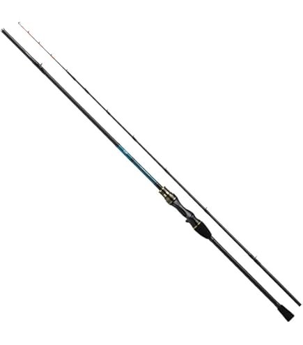 Amazon | アブガルシア (Abu Garcia) 黒船(KUROFUNE) カワハギ (船竿