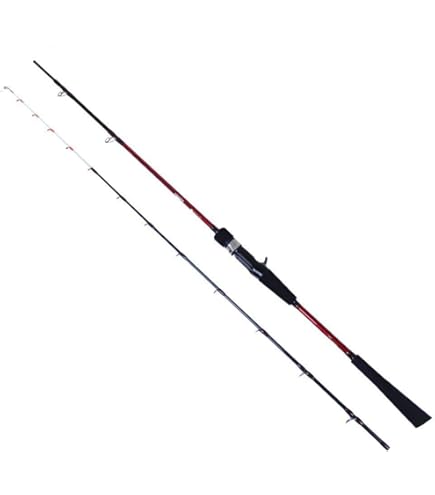 Amazon | SOLFIESTA(ソルフェスタ) タチウオテンヤロッド 龍撃太刀魚