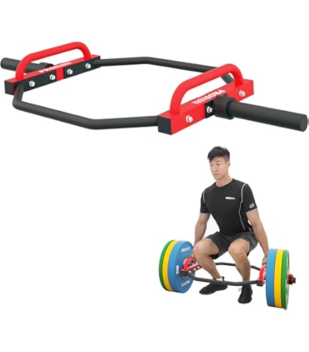 Amazon | ROGUE（ローグ）トレーニングバンパープレート 20kg (20