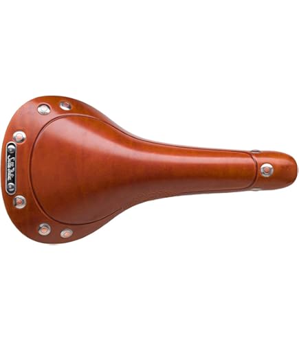 Amazon | SELLA ITALIA(セライタリア) MITICA HONEY 革サドル | Selle