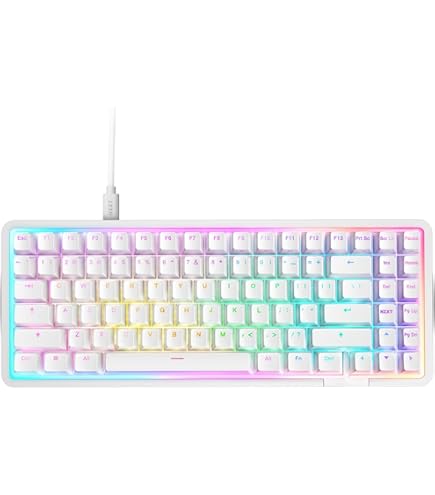 Amazon.co.jp: NZXT FUNCTION TENKEYLESS ゲーミングキーボード