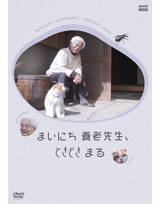 Amazon.co.jp: どスコい座り猫、まる。～養老孟司先生と猫の営業部長