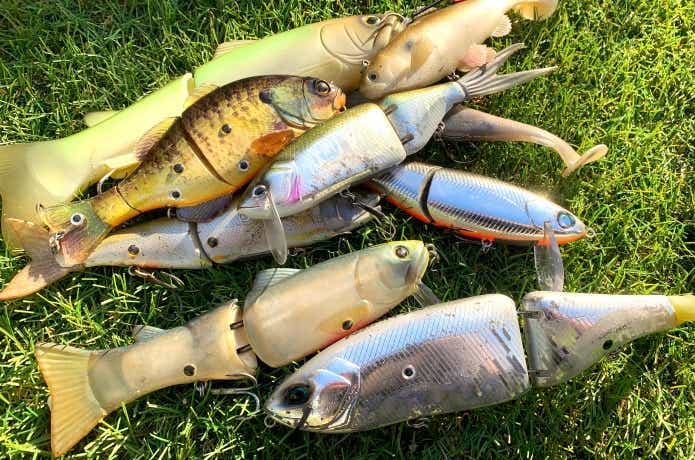 水中映像付き】ビッグベイトおすすめ10選！選び方や使い方を徹底解説