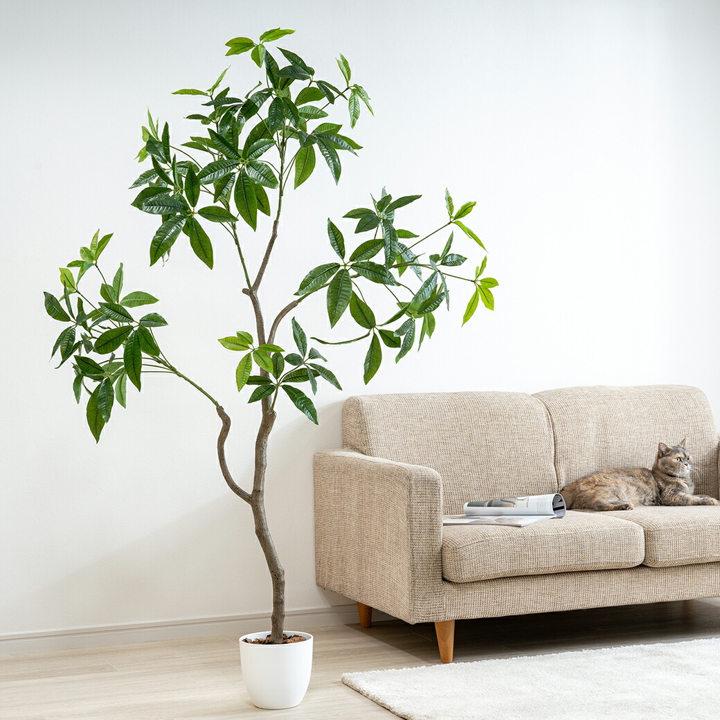 人工観葉植物 パキラ 光触媒 フェイクグリーン 大型 150cm インテリア