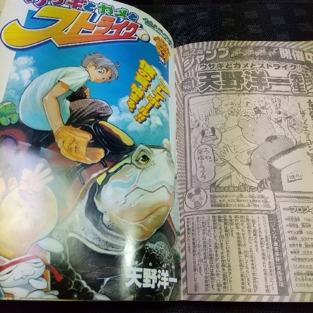 集英社 - 週刊少年ジャンプ 2005年36-37号※ワンピース 巻頭※ナルト