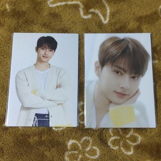 2343081731.jpg?1739892026