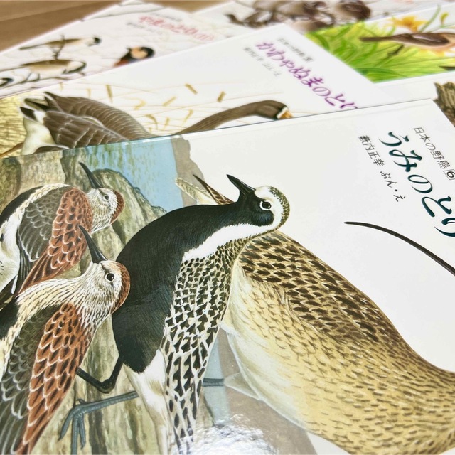 日本の野鳥 シリーズ 薮内正幸 ハードカバー 福音館書店の通販 by