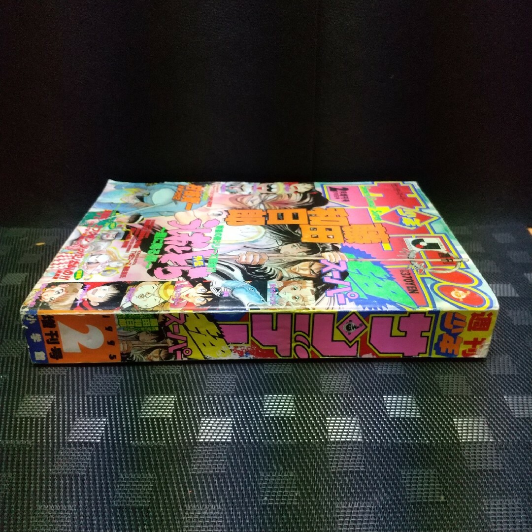 小学館 - 週刊少年サンデー超 1995年2増刊号※うしおととら外伝～里に