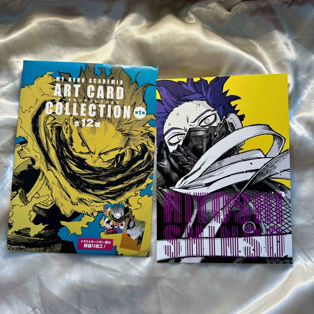 僕のヒーローアカデミア ヒロアカ アートカードコレクション 心操人使